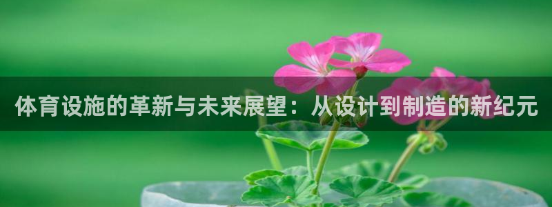 意昂4五金厂：体育设施的革新与未来展望：从设计到制造