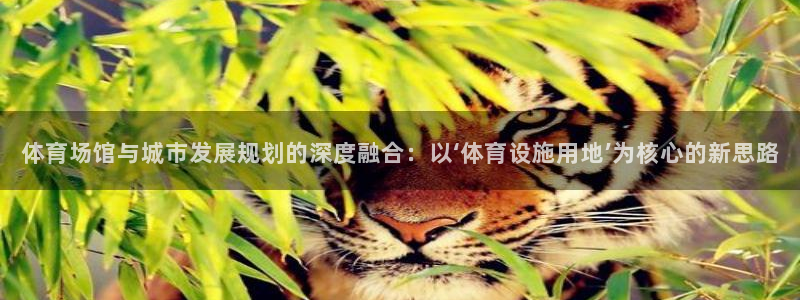 意昂体育4平台注册要钱吗是真的吗：体育场馆与城市发展