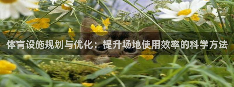 意昂体育4：体育设施规划与优化：提升场地使用效率的科