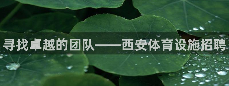 意昂4娱乐是那个系列的台子：寻找卓越的团队——西安体
