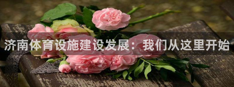 意昂体育4平台是正规平台吗安全吗：济南体育设施建设发