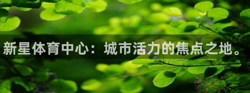 意昂4娱乐是那个系列的台子：新星体育中心：城市活力的
