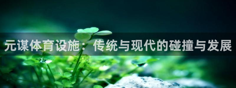 意昂体育4招商电话地址：元谋体育设施：传统与现代的碰
