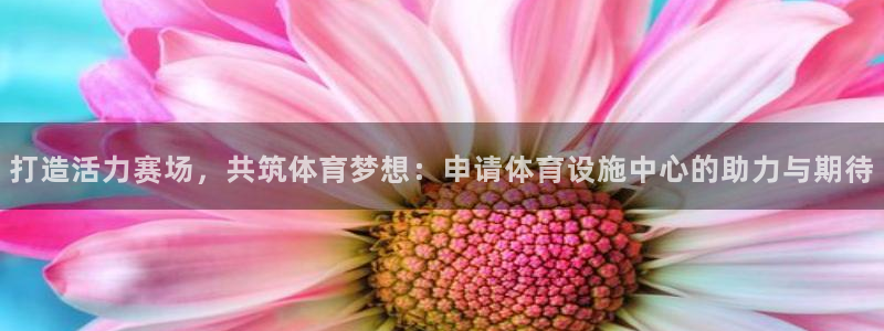 意昂4开户：打造活力赛场，共筑体育梦想：申请体育设施