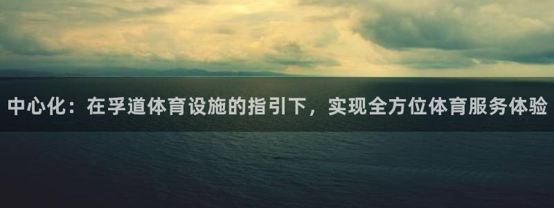 意昂4娱乐首页网站大全：中心化：在孚道体育设施的指引