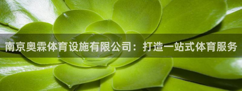 意昂4娱乐平台：南京奥霖体育设施有限公司：打造一站式体育服务